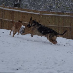 Meet your Posher, Dan